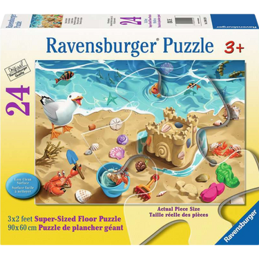 Fun at the Beach