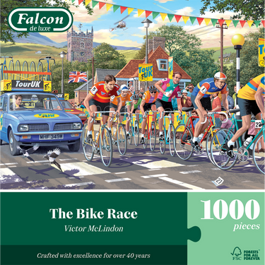 The Bike Race