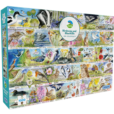 RSPB Birdsong & Bluebells