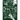 Pacts