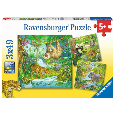 Jungle Fun