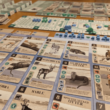 Kavango - Thirsty Meeples