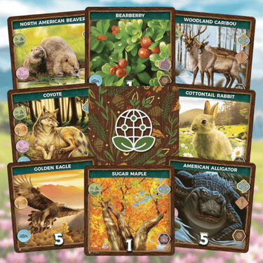 Keystone: North America (Deluxe Edition) - Thirsty Meeples