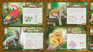 Life of the Amazonia - Thirsty Meeples