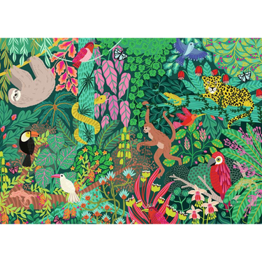Magical Rainforest