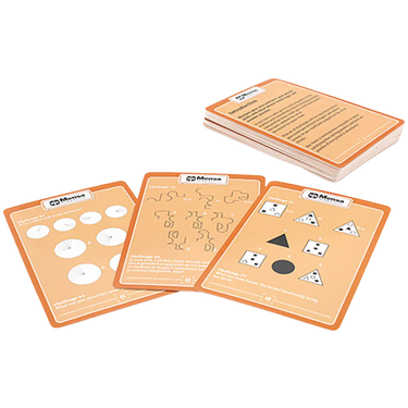 Mensa: Riddles and Conundrums (1st Edition)