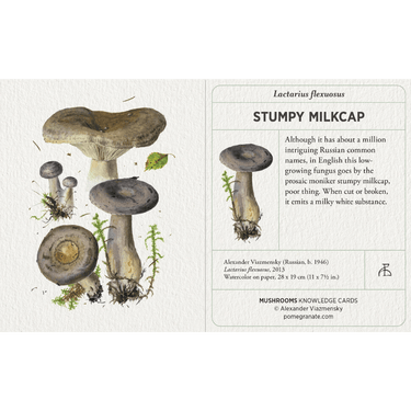 Mushrooms: Alexander Viazmensky Knowledge Cards - Thirsty Meeples