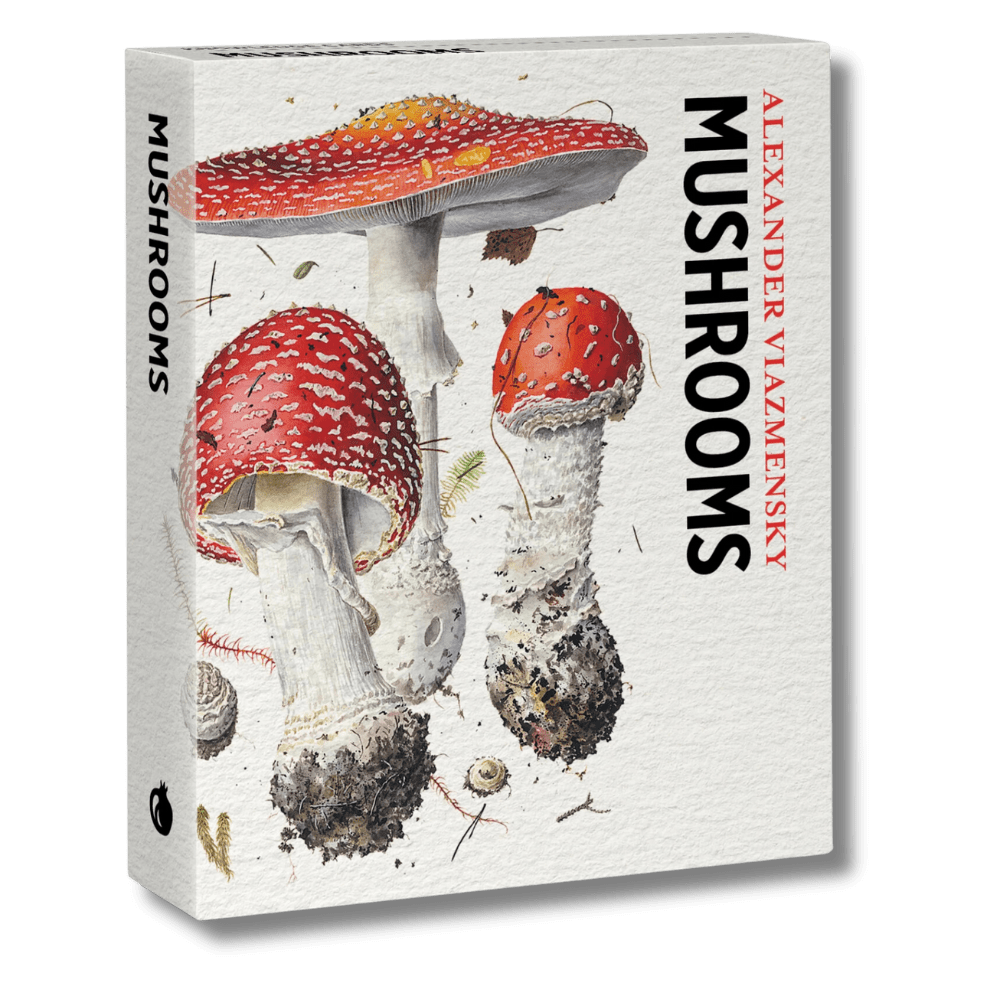 Mushrooms: Alexander Viazmensky Knowledge Cards