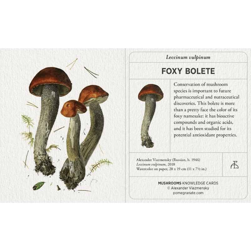 Mushrooms: Alexander Viazmensky Knowledge Cards