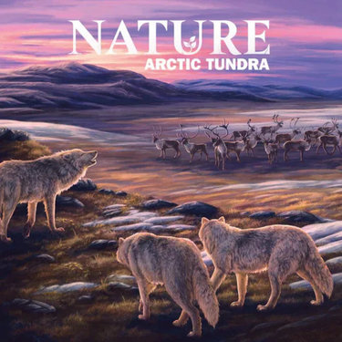 Nature Module 4: Arctic Tundra