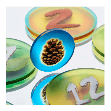 Photosynthesis Token Set