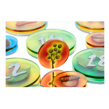 Photosynthesis Token Set