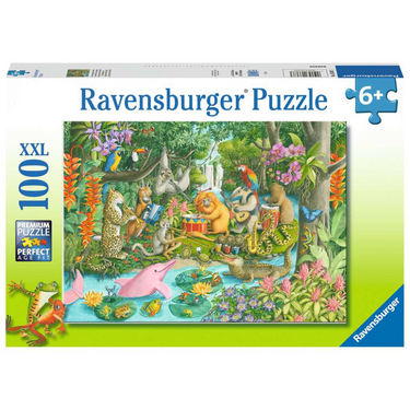 Rainforest River Band