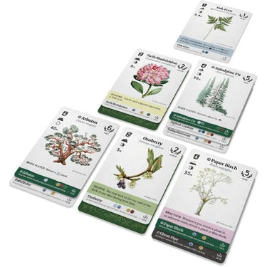 Reforest: Old Growth (PRE-ORDER) - Thirsty Meeples