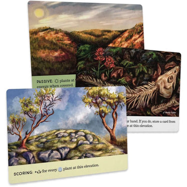 Reforest: Old Growth (PRE-ORDER) - Thirsty Meeples