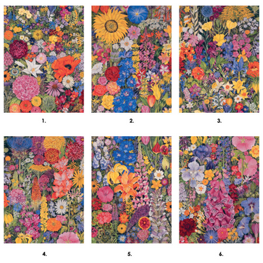 Rosalind Wise: Flower Cycle Block Puzzle - Thirsty Meeples