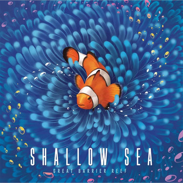 Shallow Sea - Thirsty Meeples