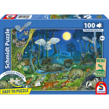 Forest Animals at Night