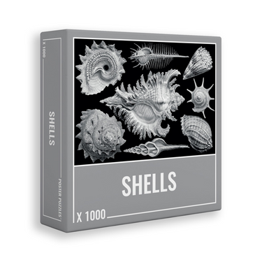 Shells
