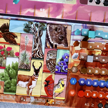 Trailblazer: The Arizona Trail