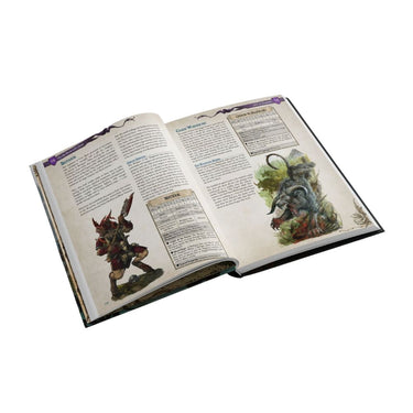 Warhammer The Old World RPG: Gamemaster's Guide