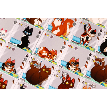 Way Too Many Cats!