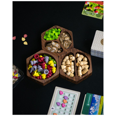 Earth Express - card components in the wooden storage insert