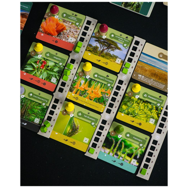Earth Express - Flora and Terrain tableau in play