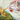 The Creation of Cat