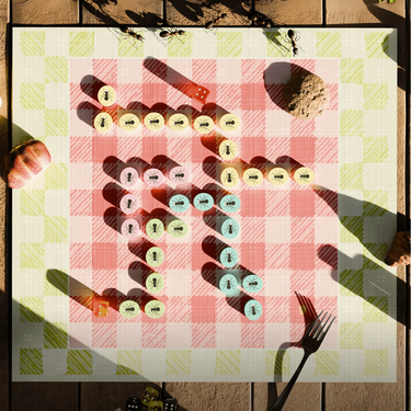 Ants & Crumbles: War at the Picnic Table (PRE-ORDER)