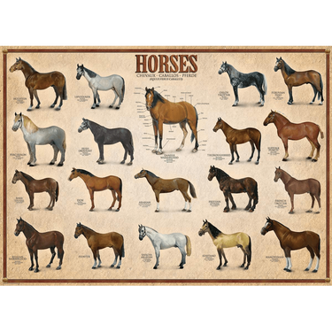 Horses