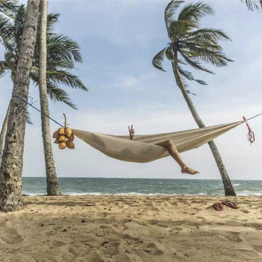 Beach Hammock