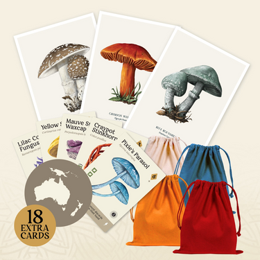 Australasian mini expansion cards, art prints and cotton component bags