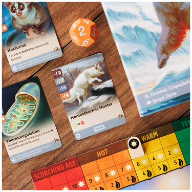 Nature Module 6: Climate card close-up