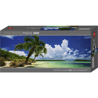 Paradise Palms box