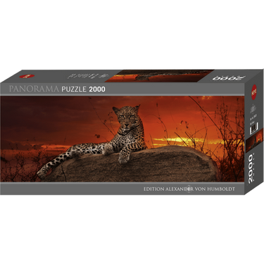 Red Dawn box