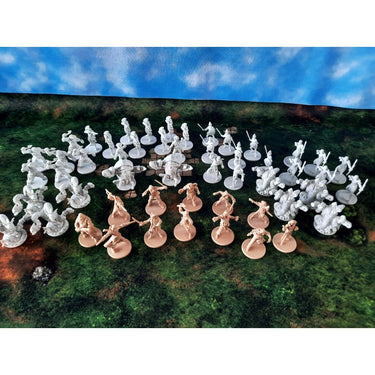 Skull Tales: Full Sail! components