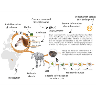 Darwin's Encyclopedia sample entry layout