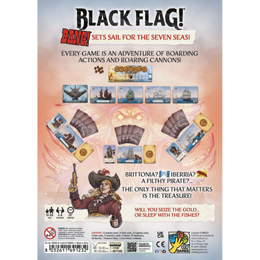 Black Flag! back of box