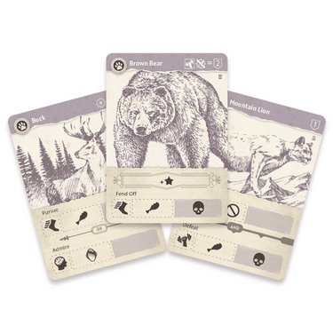 Trail Story: America
