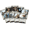 Arkham Horror: The Card Game – Edge of the Earth: Campaign Expansion
