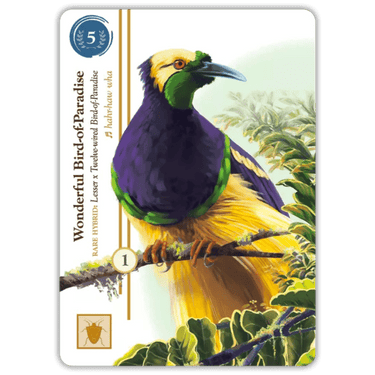 Birdwatcher - Thirsty Meeples