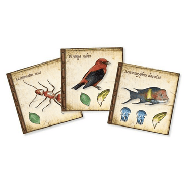 On the Origin of Species - Thirsty Meeples