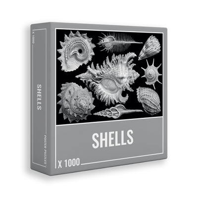 Shells (1000 Pieces)