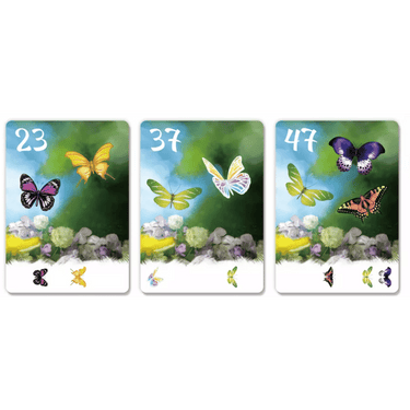 The Butterfly Garden (Second Edition)