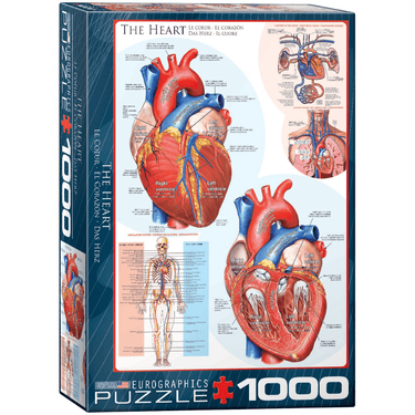 The Heart (1000 Pieces)