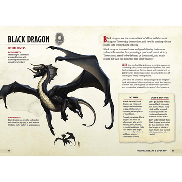 Dungeons & Dragons: A Young Adventurer's Guide - Monsters & Creatures